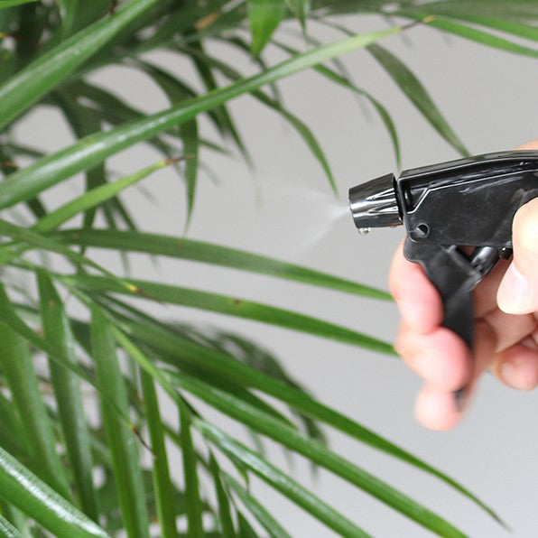 【最終値下げ‼️】ブレス　BLESS N° 霧吹き　スプレーボトル 最終値下げ‼️】ブレス BLESS N° 霧吹き スプレーボトル Amazon.co.jp